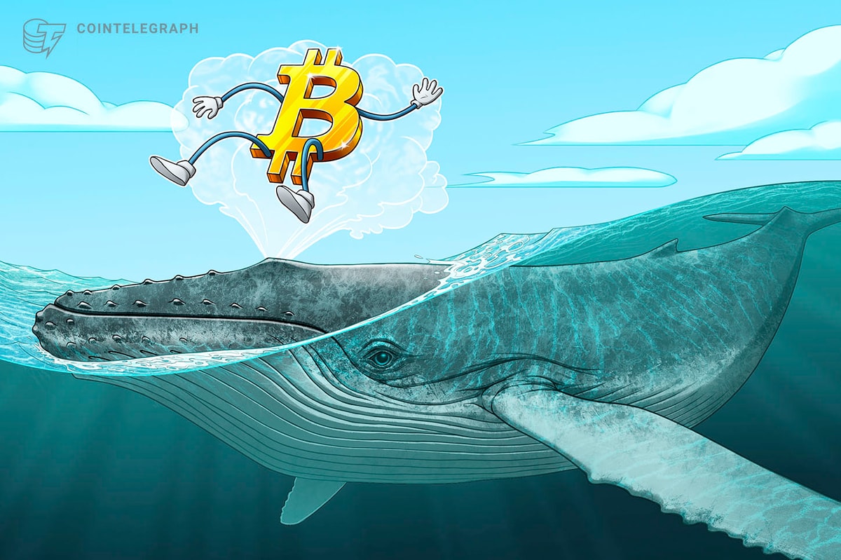 BTC price levels to watch as Bitcoin whales ‘lure’ market to K