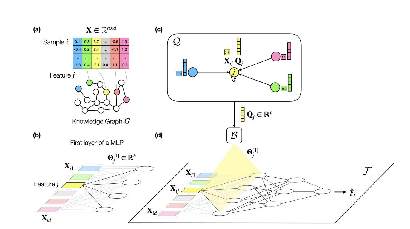 Researchers at Stanford Unveil PLATO: A Novel AI Approach to Tackle Overfitting in High-Dimensional, Low-Sample Machine Learning with Knowledge Graph-Augmented Regularization