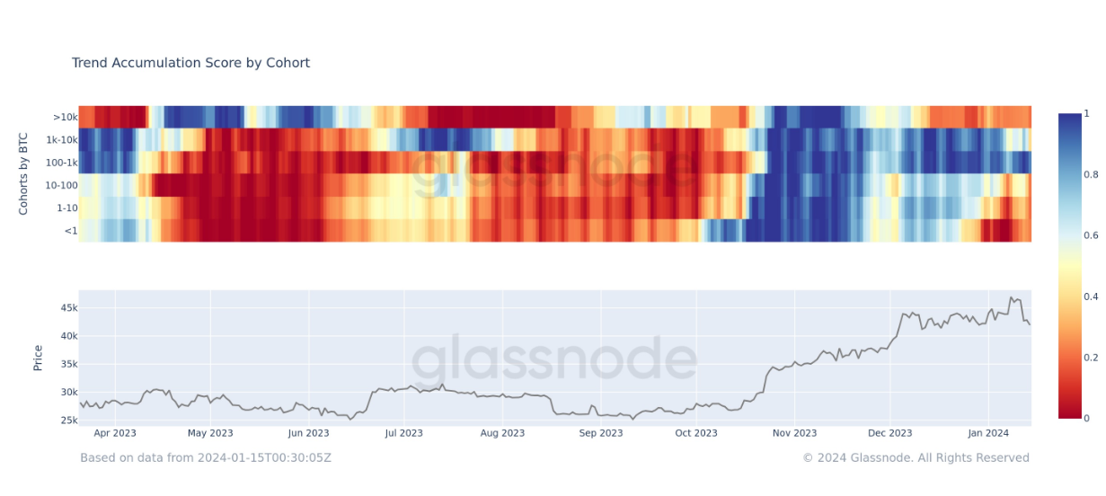 Bitcoin accumulation trend hits lowest point since October, signaling widespread distribution shifts