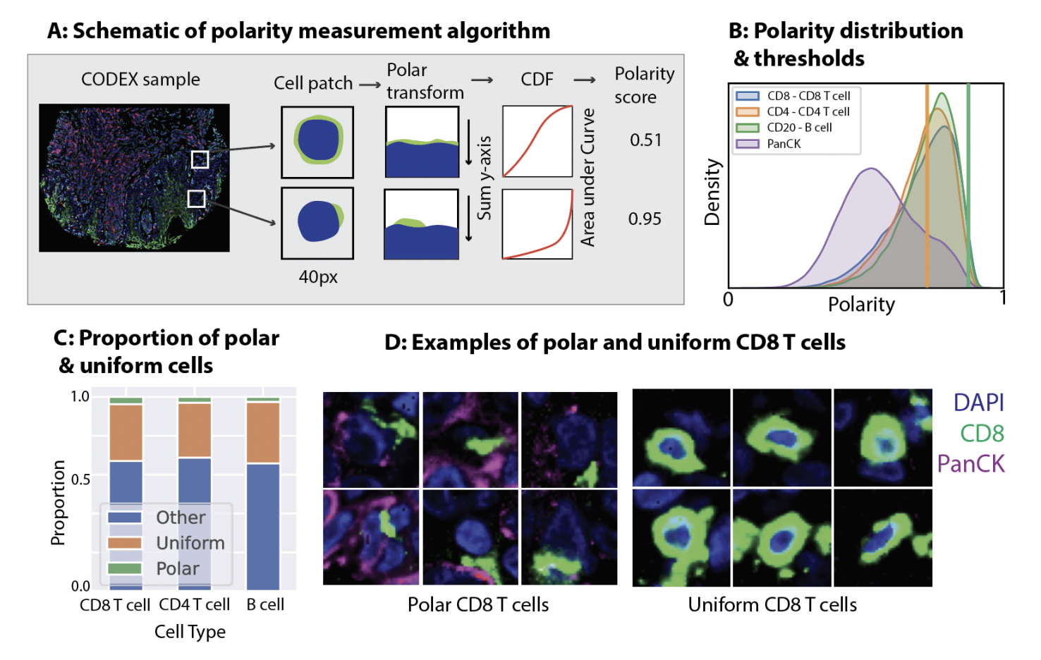 Stanford Researchers Introduce PEPSI: A New Artificial Intelligence Method to Identify Tumor-Immune Cell Interactions from Tissue Imaging