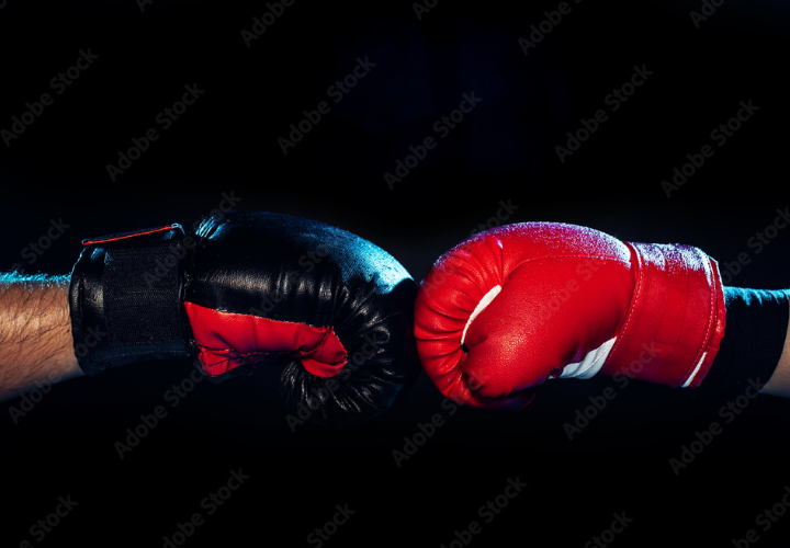 Let’s Get Ready To Rumble! Elon Musk And Cardano Team Up To Defend Bitcoin Against ECB