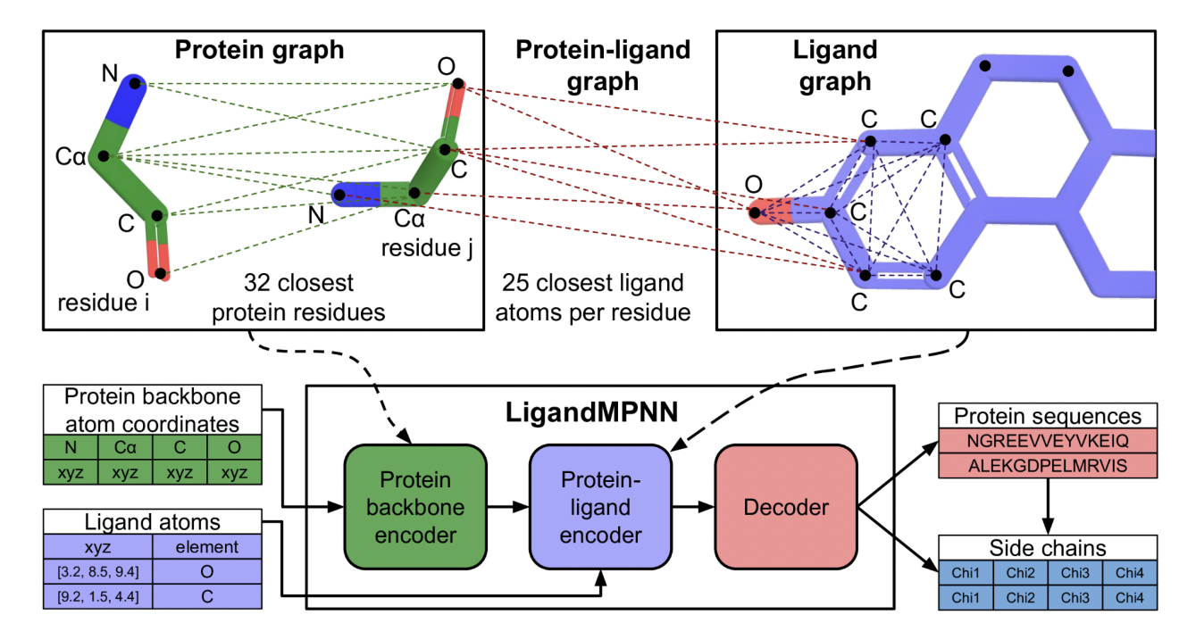 Researchers from the University of Washington Developed a Deep Learning Method for Protein Sequence Design that Explicitly Models the Full Non-Protein Atomic Context