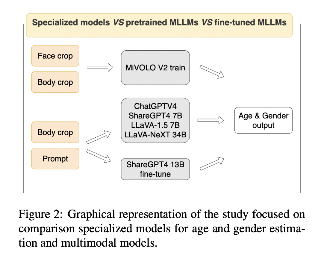 Breaking New Grounds in AI: How Multimodal Large Language Models are Reshaping Age and Gender Estimation