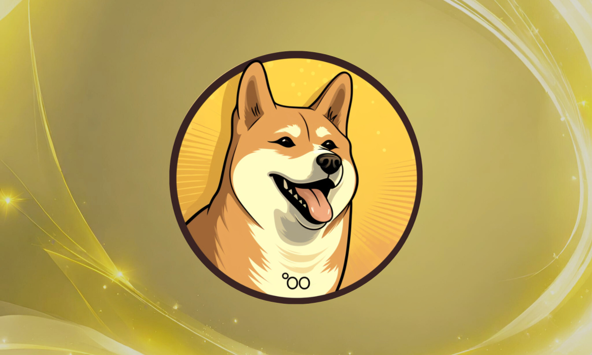 Dogecoin20 Meme Coin Launches ICO and Raises 0K Within Hours