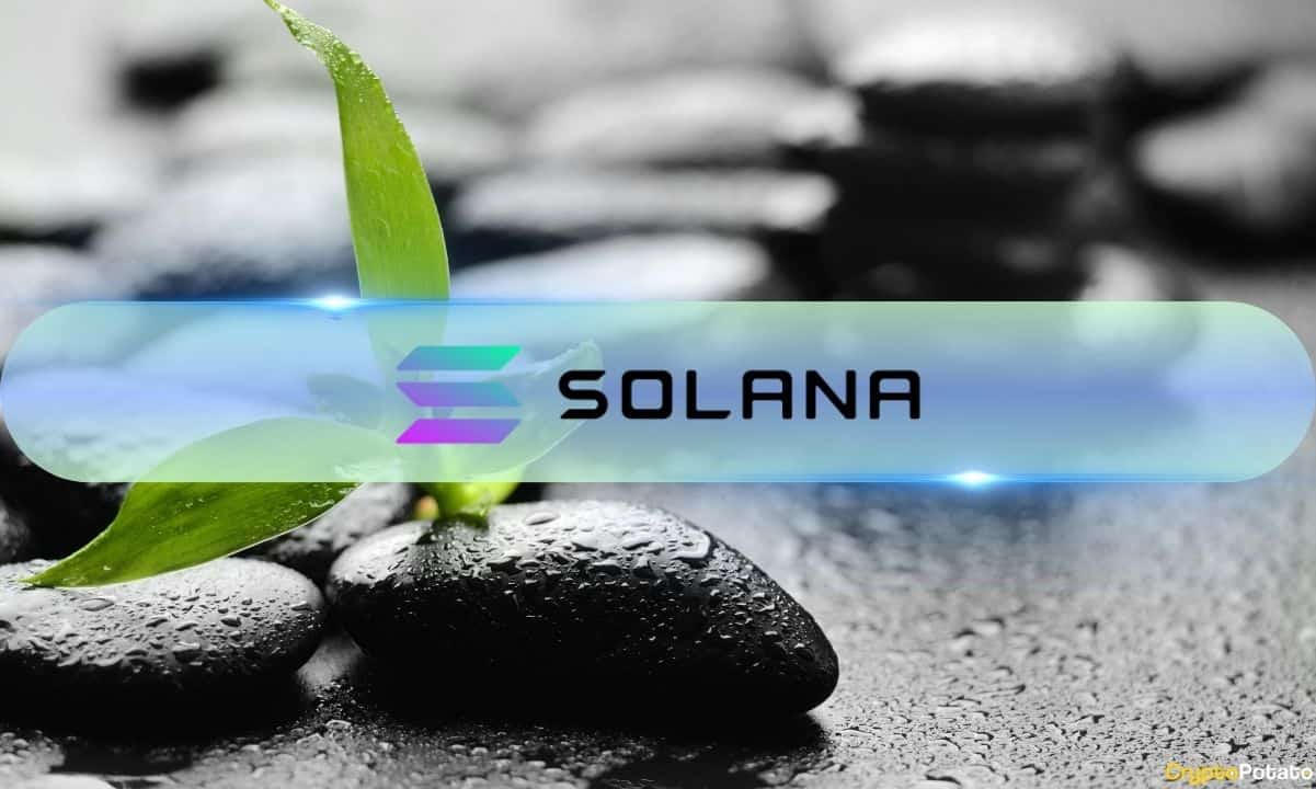 Solana Sees Explosive Growth in DEX Trading Volume, Surpasses B Mark Multiple Times