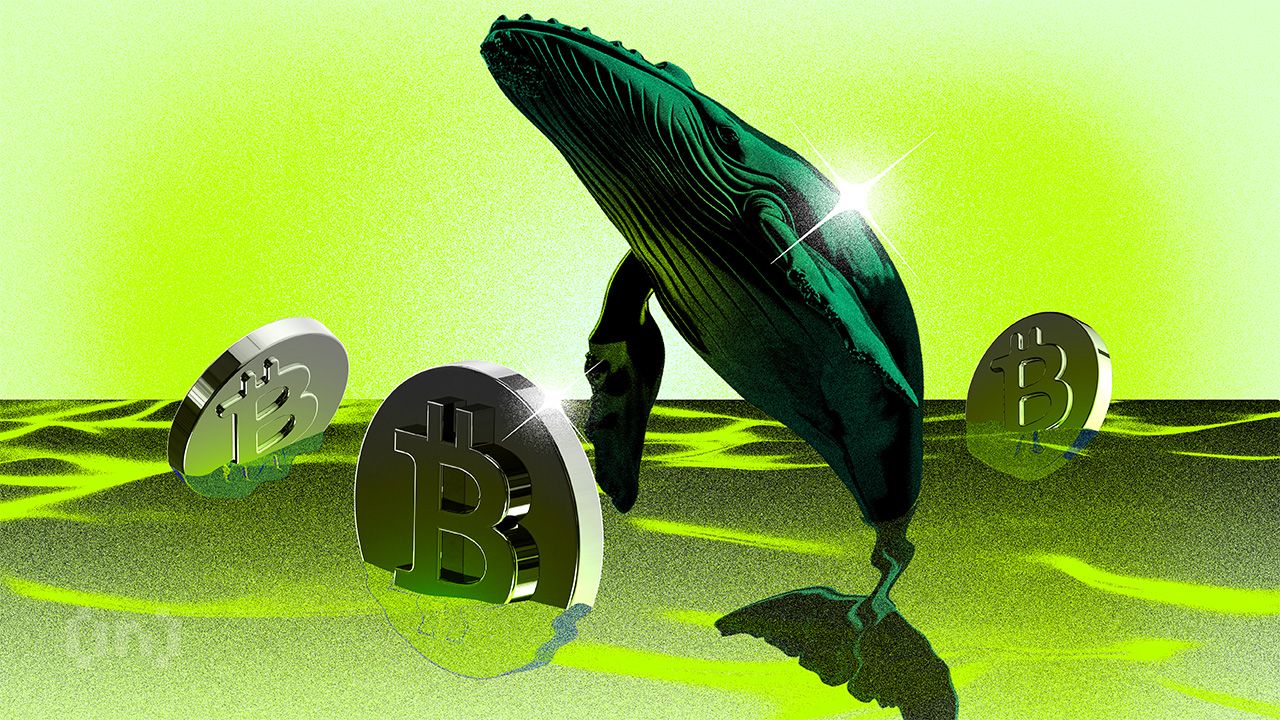 Bitcoin Whale From 2010 Moves .28 Million BTC to Coinbase